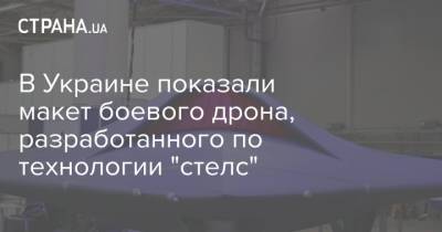 Александр Лось - В Украине показали макет боевого дрона, разработанного по технологии "стелс" - strana.ua