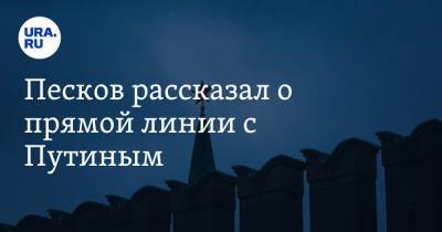 Владимир Путин - Дмитрий Песков - Песков рассказал о прямой линии с Путиным - ura.news