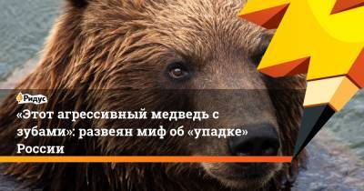 Энтони Блинкен - «Этот агрессивный медведь с зубами»: развеян миф об «упадке» России - ridus.ru - Австралия