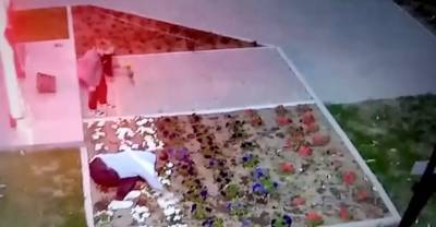 Олег Пешков - В Приморье решили, кого накажут за осквернение мемориала школьницами - reendex.ru - Приморье край