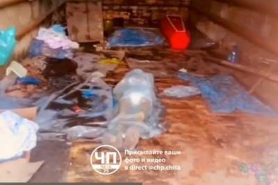 Прокуратура в Могоче проверит факт хранения трупов в гараже - mk.ru - Забайкальский край - Чита