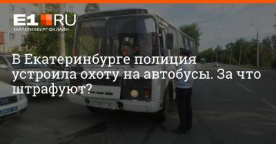 В Екатеринбурге полиция устроила охоту на автобусы. За что штрафуют? - e1.ru - Екатеринбург