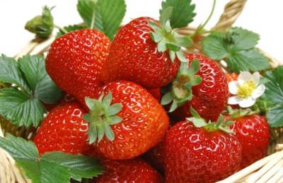 Сезон ягод: предложение превышает спрос, цены идут вниз - agroportal.ua