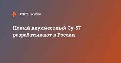 Юрий Борисов - Новый двухместный Су-57 разрабатывают в России - ren.tv - Приморье край - с. Минобороны
