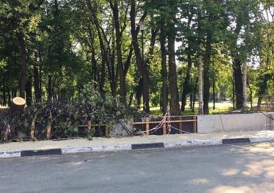 Сопредседатель рязанского штаба ОНФ раскритиковал благоустройство Наташиного парка - ya62.ru - Рязань - Благоустройство