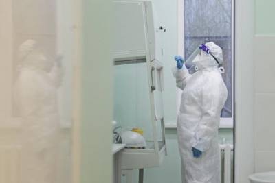 За сутки в регионе заразились коронавирусом 62 тамбовчанина - tambov.mk.ru