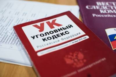 Олег Пешков - Против школьниц, осквернивших памятник летчику Пешкову, возбуждено дело - aif.ru - Приморье край