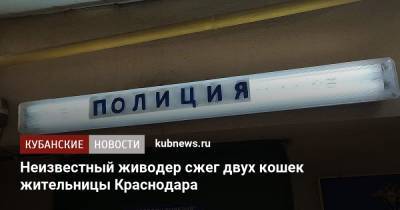 Неизвестный живодер сжег двух кошек жительницы Краснодара - kubnews.ru - Краснодарский край - Краснодар - район Каневский