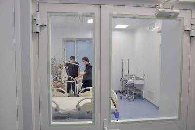 Ирина Гехт - В ковидных госпиталях Челябинской области осталось 10% свободных коек - znak.com - Челябинская обл.