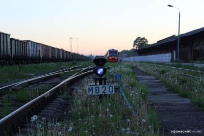 В Тверской области лось погиб на железной дороге после встречи с поездом - afanasy.biz - Санкт-Петербург - Тверь - Казань - Тверская обл.