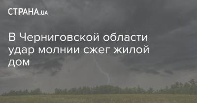 В Черниговской области удар молнии сжег жилой дом - strana.ua - Украина - Луганская обл. - Черниговская обл. - Житомир - район Северодонецкий
