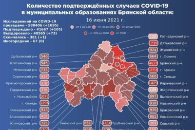 На Брянщине потвердилась новая смерть от коронавируса - mk.ru - Брянская обл.