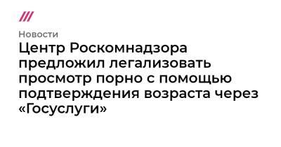 Центр Роскомнадзора предложил легализовать просмотр порно с помощью подтверждения возраста через «Госуслуги» - tvrain.ru