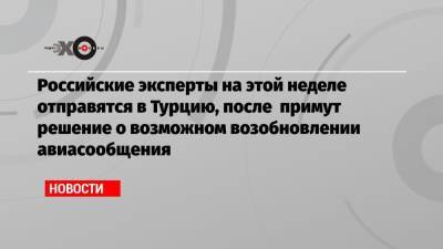 Российские эксперты на этой неделе отправятся в Турцию, после примут решение о возможном возобновлении авиасообщения - echo.msk.ru - Турция - Танзания