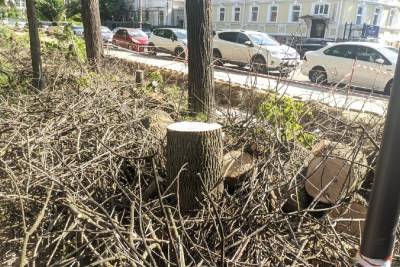 Елена Сорокина - Мэрия Рязани прокомментировала вырубку деревьев в Верхнем городском парке - rzn.mk.ru - Рязань