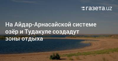 На Айдар-Арнасайской системе озёр и Тудакуле создадут зоны отдыха - gazeta.uz - Узбекистан - Навоийской обл.