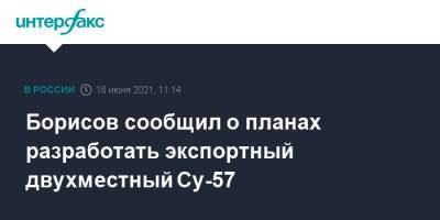 Юрий Борисов - Борисов сообщил о планах разработать экспортный двухместный Су-57 - interfax.ru - Москва - Приморье край