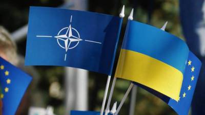Юрий Бойко - Оппозиция против вступления Украины в НАТО - anna-news.info - Киев