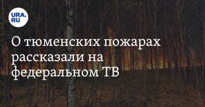 О тюменских пожарах рассказали на федеральном ТВ. Видео - ura.news - Тюмень - Тюменская обл.