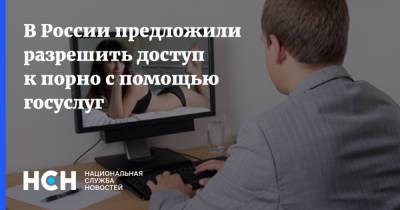 В России предложили разрешить доступ к порно с помощью госуслуг - nsn.fm