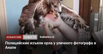 Полицейские изъяли орла у уличного фотографа в Анапе - kubnews.ru - Анапа - Краснодарский край - респ. Карачаево-Черкесия - Витязево