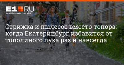 Артем Устюжанин - Стрижка и пылесос вместо топора: когда Екатеринбург избавится от тополиного пуха раз и навсегда - e1.ru - Екатеринбург - Пионерск