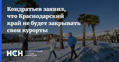 Вениамин Кондратьев - Кондратьев заявил, что Краснодарский край не будет закрывать свои курорты - nsn.fm - Сочи - Краснодарский край