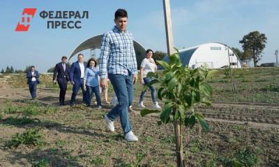 Антон Алиханов - Алиханов раскрыл, сколько в Калининградской области бесхозной земли - fedpress.ru - Калининград - Калининградская обл.