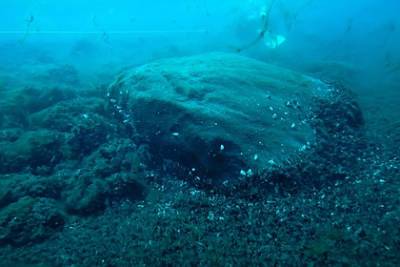 Найдены уникальные подводные артефакты древних индейцев - lenta.ru - Канада - штат Орегон