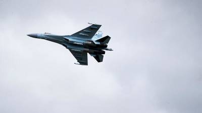 Два российских Су-35 провели плановый полет над Балтикой 15 июня - iz.ru - Эстония