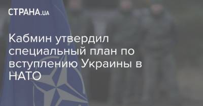 Кабмин утвердил специальный план по вступлению Украины в НАТО - strana.ua