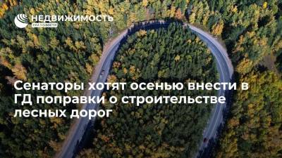 Сенаторы хотят осенью внести в ГД поправки о строительстве лесных дорог - realty.ria.ru - Москва