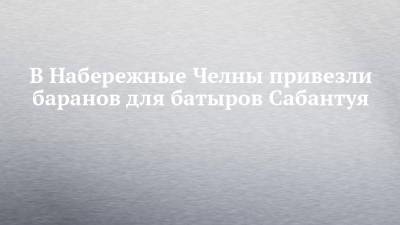 В Набережные Челны привезли баранов для батыров Сабантуя - chelny-izvest.ru - Набережные Челны