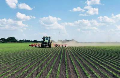 Арника ввела новые культуры в севооборот - agroportal.ua