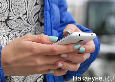 ЦИК определил порядок жалоб на незаконную агитацию в сети - nakanune.ru