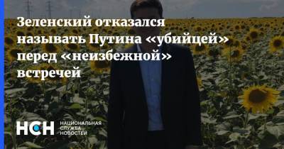 Владимир Зеленский - Владимир Путин - Джо Байден - Зеленский отказался называть Путина «убийцей» перед «неизбежной» встречей - nsn.fm - Донбасс