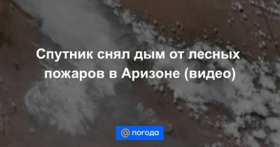 Екатерина Гура - Спутник снял дым от лесных пожаров в Аризоне (видео) - news.mail.ru - шт. Аризона