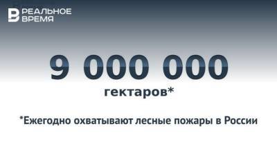 Николай Патрушев - Ежегодно в России горит по 9 млн гектаров леса — это много или мало? - realnoevremya.ru - Башкирия - респ. Татарстан - Саратовская обл. - Оренбургская обл.