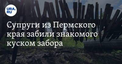 Супруги из Пермского края забили знакомого куском забора - ura.news - Пермский край