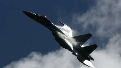 Арвидас Анушаускас - Литва и Эстония обвинили российских военных в нарушении своих границ - svoboda.org - Эстония - Литва