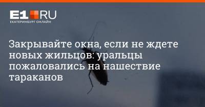 Закрывайте окна, если не ждете новых жильцов: уральцы пожаловались на нашествие тараканов - e1.ru - Екатеринбург - Уральск