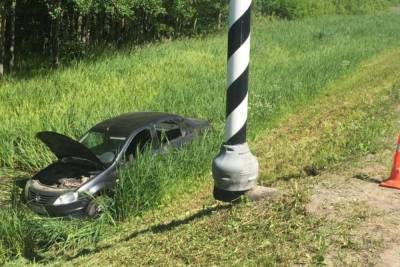 Водитель Renault сбил лося на трассе в Великом Новгороде - mk.ru - Псков - Великий Новгород