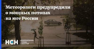 Евгений Тишковец - Метеорологи предупредили о мощных потопах на юге России - nsn.fm - Крым - Анапа - Новороссийск - Керчь - Тамань
