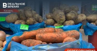 В Татарстане подорожали овощи — видео - realnoevremya.ru - респ. Татарстан