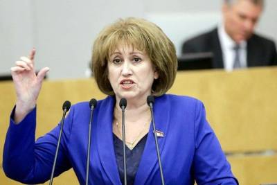 Новосибирский депутат Госдумы обвинила исполнительную власть в давлении и провоцировании конфликтов - tayga.info