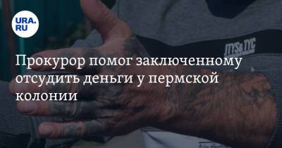 Прокурор помог заключенному отсудить деньги у пермской колонии - ura.news - Пермский край