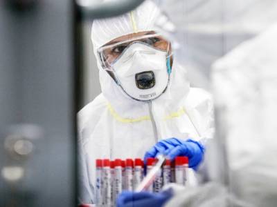 ВОЗ изучает новый штамм коронавируса - unn.com.ua - Киев - Англия - Аргентина - Чили