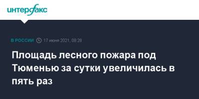 Площадь лесного пожара под Тюменью за сутки увеличилась в пять раз - interfax.ru - Москва - Тюмень - Тюменская обл.