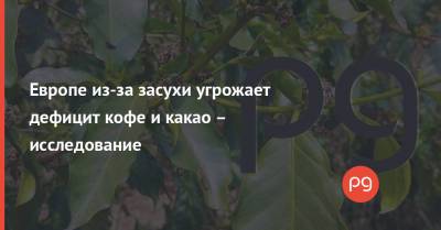 Европе из-за засухи угрожает дефицит кофе и какао – исследование - thepage.ua - Колумбия - Кения