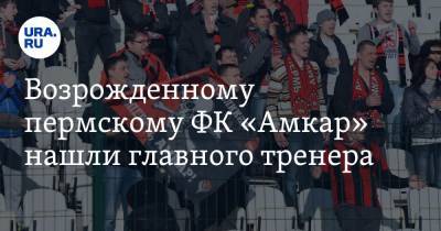 Возрожденному пермскому ФК «Амкар» нашли главного тренера - ura.news - Пермь